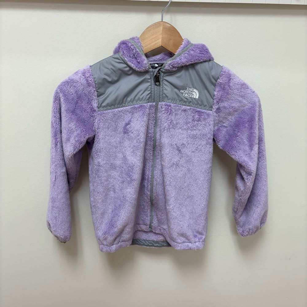 The North Face Purple and Gray Fleece Jacket